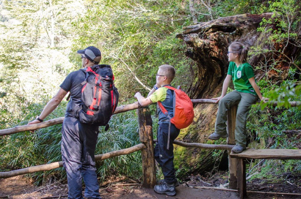 hiking with kids in pucon
