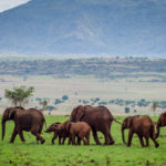 Kidepo Valley National Park: Uganda's Hidden Gem