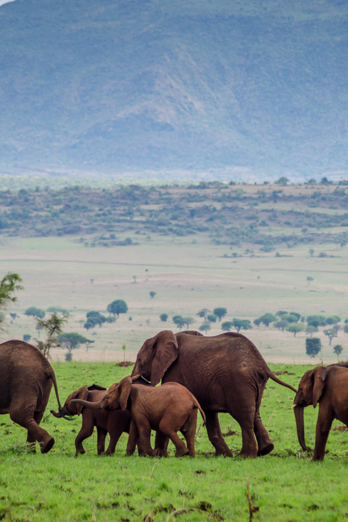 Kidepo Valley National Park: Uganda’s Hidden Gem