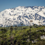Andes Mountains, Conguillio National Park