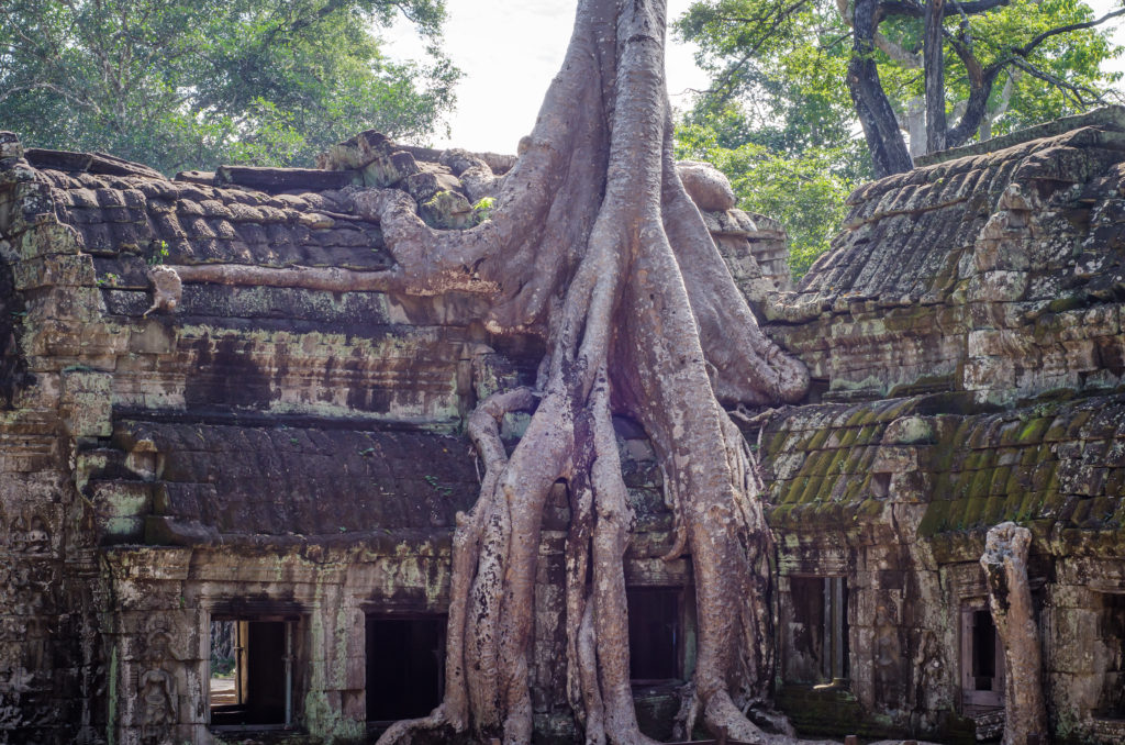 Angkor Wat Bike Tour:  A family friendly bike tour of Angkor, Camboida | #angkor #cambodia #angkorwat #biketour #familyvacation