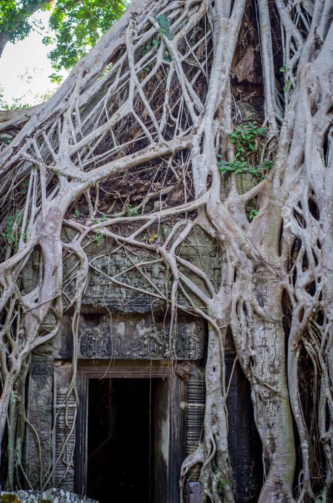 Angkor Wat Bike Tour:  A family friendly bike tour of Angkor, Camboida | #angkor #cambodia #angkorwat #biketour #familyvacation