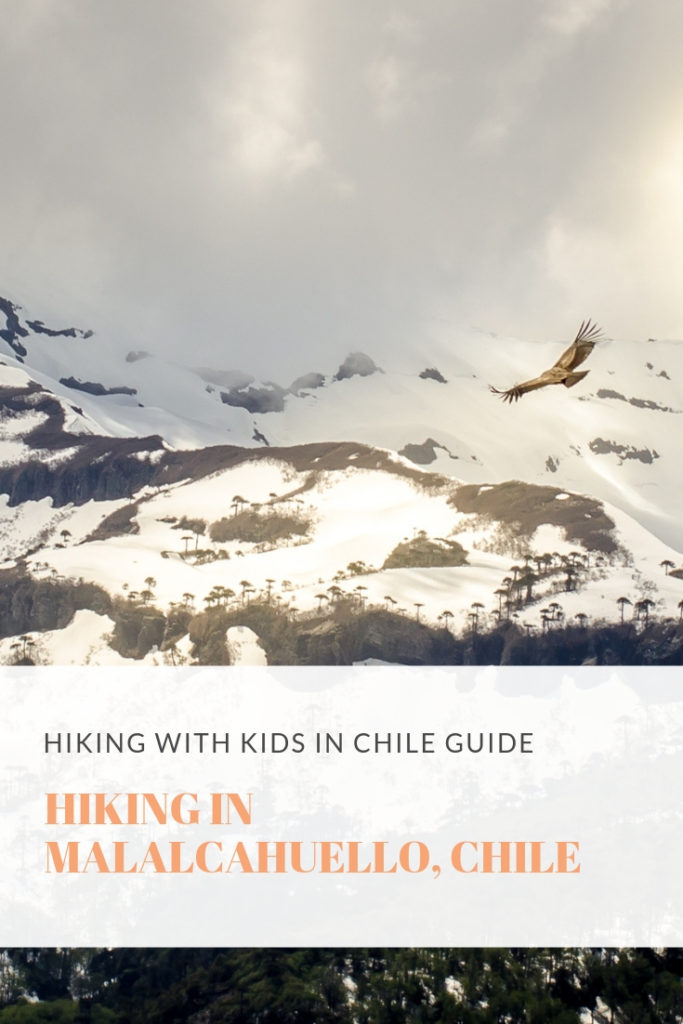 Hiking Guide to hiking with kids in Malacahuello, Chile