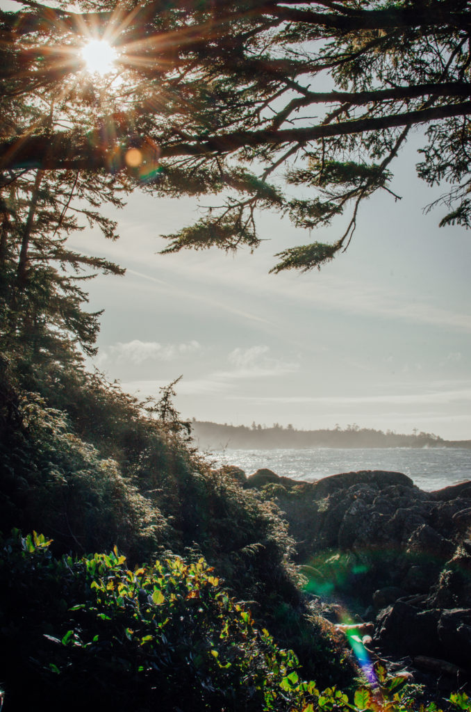 Hiking the Wild Pacific Trail in Ucluelet, BC | Discover the wild west coast of Vancouver Island on this rugged seaside trail. #hiking #wildpacifictrail #vancouverisland #hikingguide #britishcolumbia