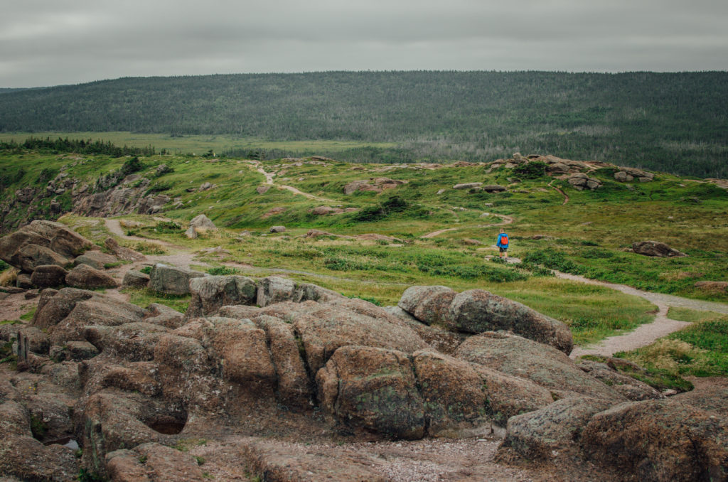 Cape Spear Path, Newfoundland: Hiking Guide to Cape Spear Path, the easternmost point in North America | #capespear #newfoundland #hikingguide #hike #canada