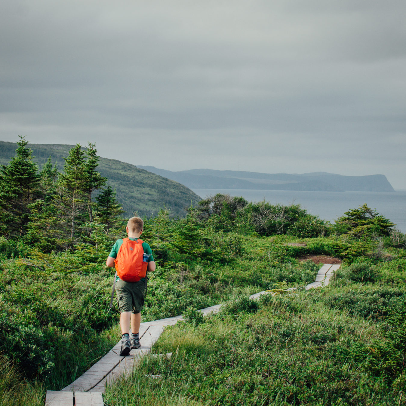 Cape Spear Trail, Newfoundland