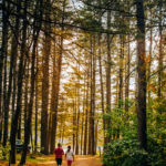 Camping in Samuel de Champlain Provincial Park | Explore Ontario's Mattawa River Valley and the historic fur trade route. Camping, kayaking, canoeing, SUP, hiking and wildlife viewing at its finest. #ontarioparks #camping #canada #familyvacation