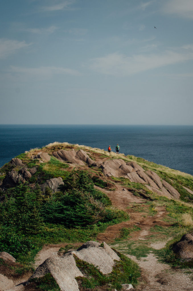 Hike Newfoundland's East Coast Trail | Cobblers Path has breathtaking vistas of the Atlantic coast of Canada. Watch for icebergs and whales as you hike this dramatic coastline | #Newfoundland #Canada #trailguide #travel #hiking