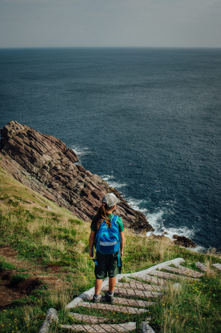Cobbler Path, Newfoundland - The Driftwoods Family