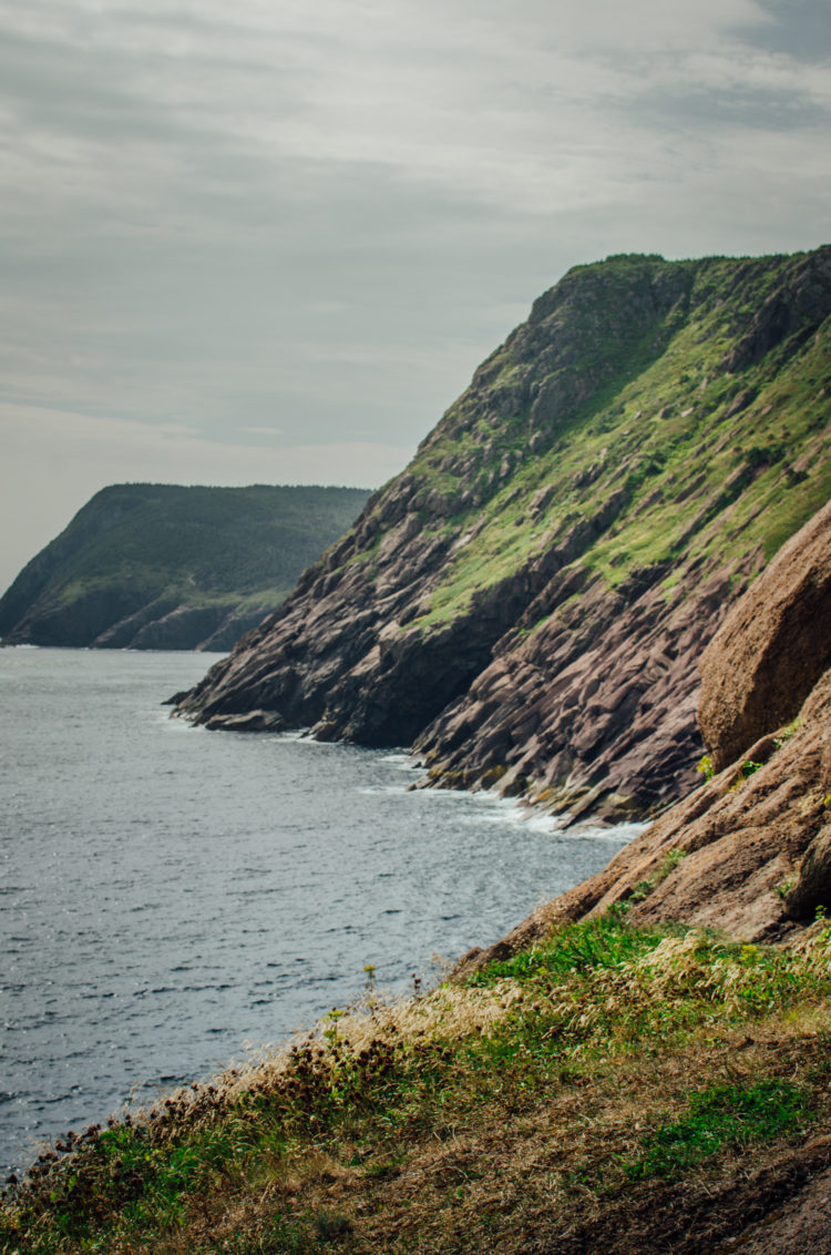 Cobbler Path, Newfoundland - The Driftwoods Family