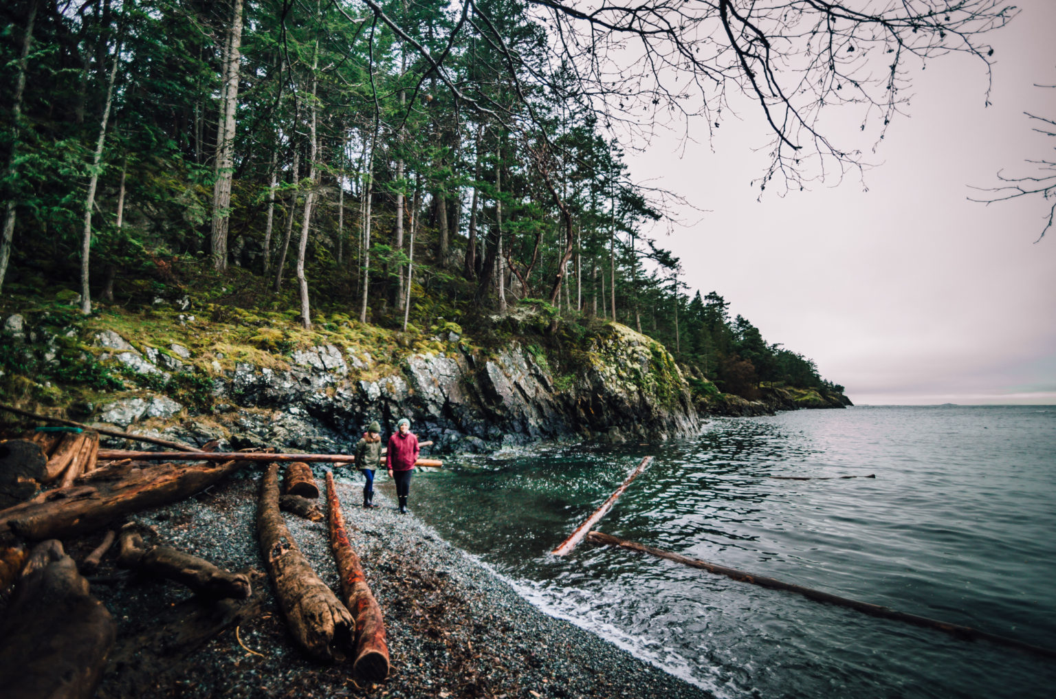 Top 5 Nanaimo Hikes - The Driftwoods Family