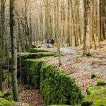 Hiking the Niagara Escarpment: Explore the rugged hiking trails in Southern Ontario to see limestone cliffs, caves, and waterfalls | #hiking #niagaraescarpment #ontario #hikingguide