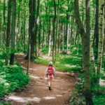 Mount Nemo Conservation Area